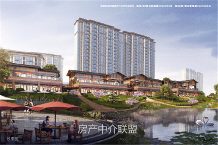 低价出售正大文苑2楼带车库50万